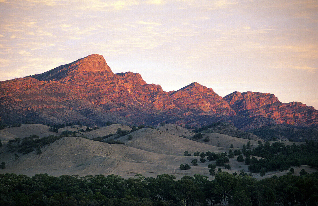 Wilpena Pound mit St. Mary Peak im Abendlicht, Flinders Ranges, Südaustralien, Australien