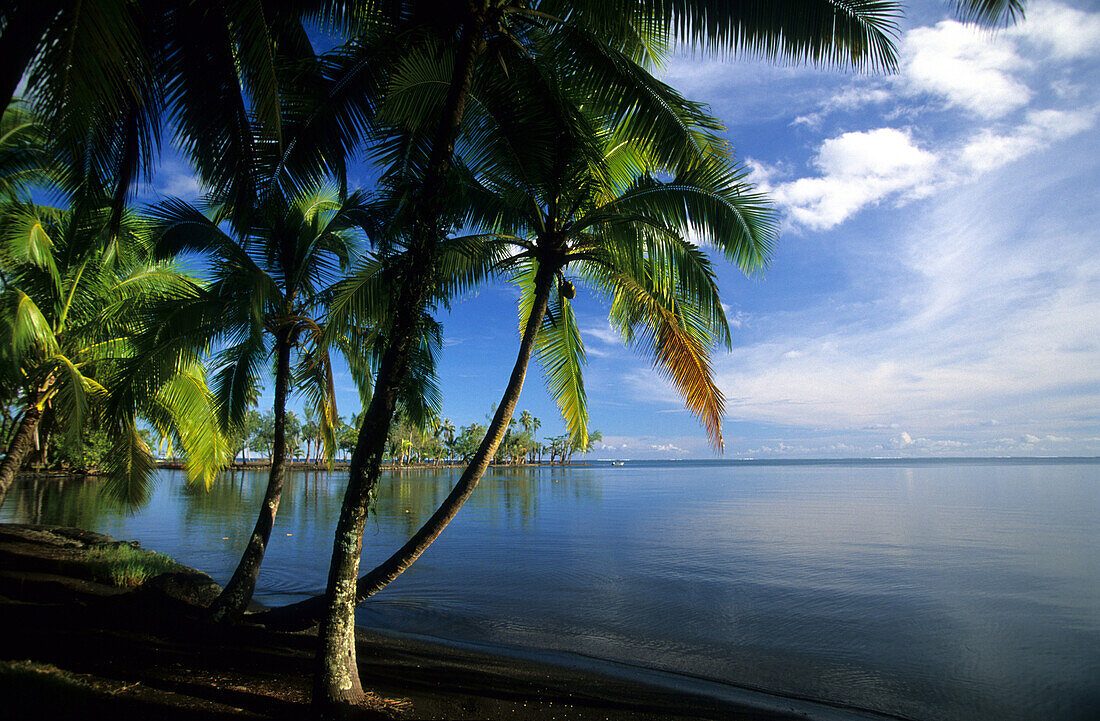 Lagoon near the Batanical Gardens, Tahiti, French Polynesia, south sea