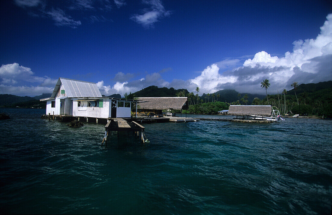 Perlenfarm vor der Küste der Insel, Raiatea, Französisch Polynesien, Südsee