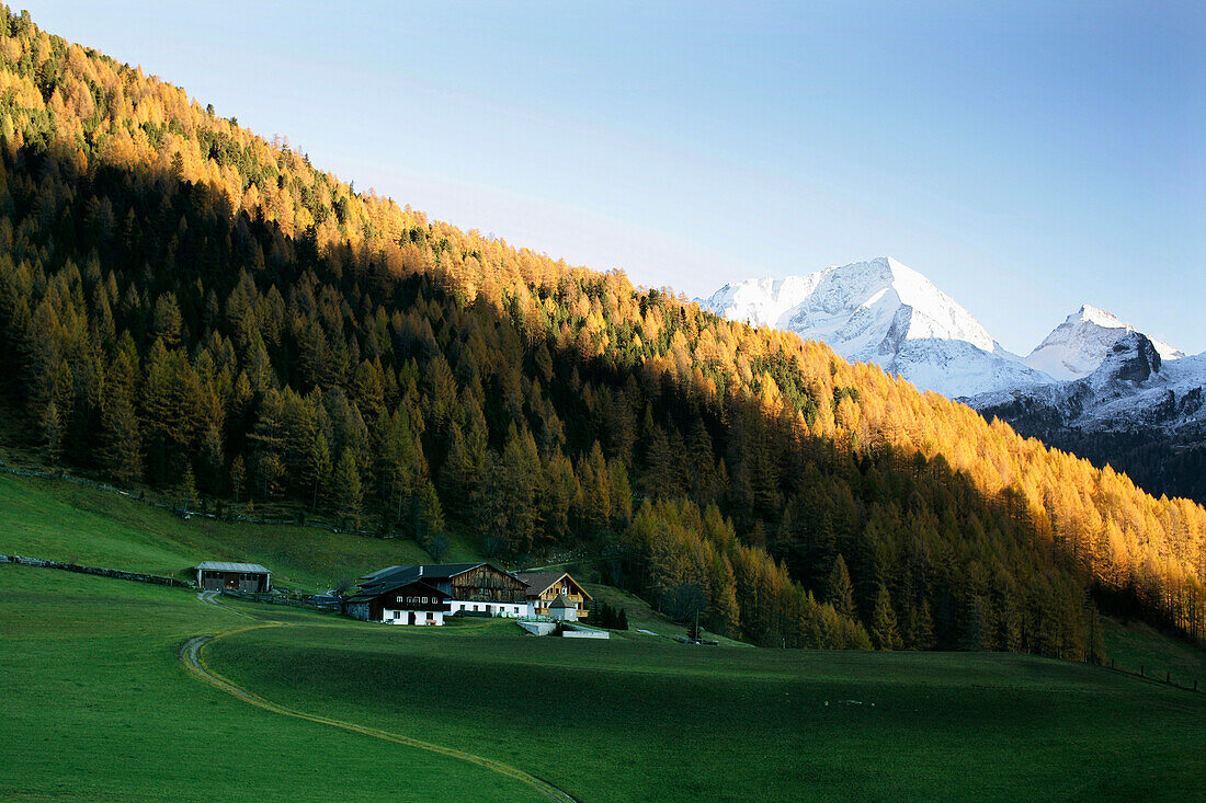 Blick über Rein in Taufers auf Rieserfernergruppe im Hintergrund, Trentino-Südtirol, Italien