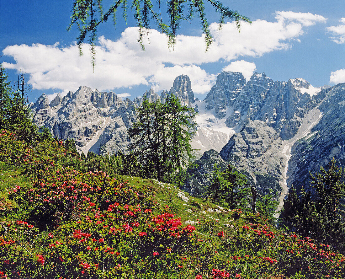 Monte Cristallo Group, near Cortina d Ampezzo. The Dolomites, Italy