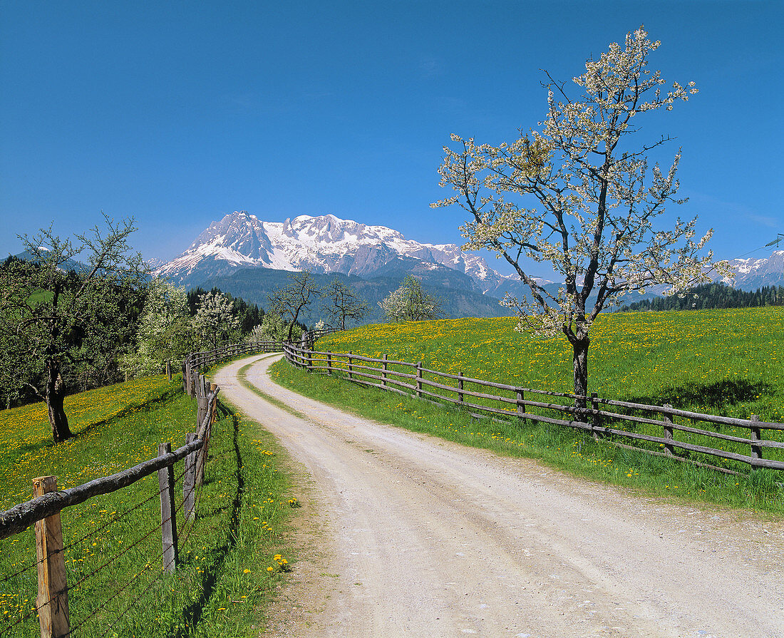 Salzburg country in the spring with Hochkönig mount, Austrian alps