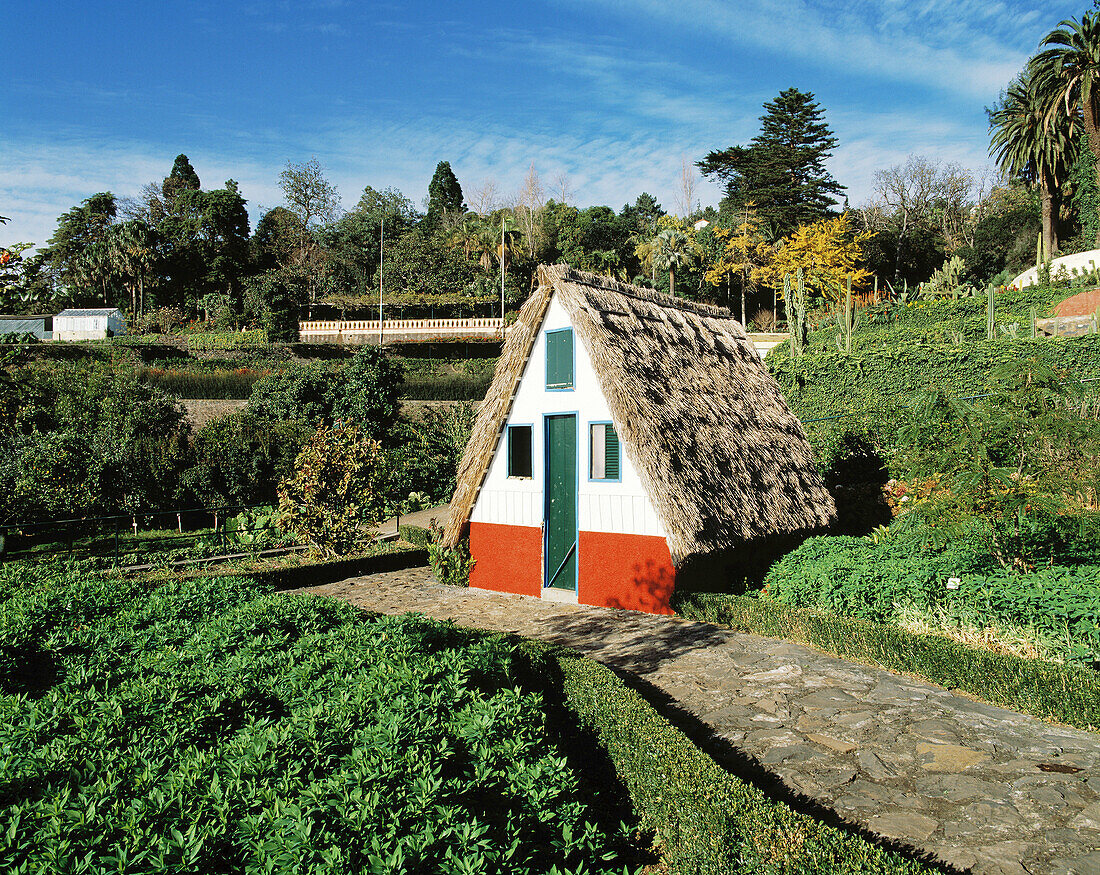 Thatched roof house. Santana. Madeira Island. Portugal