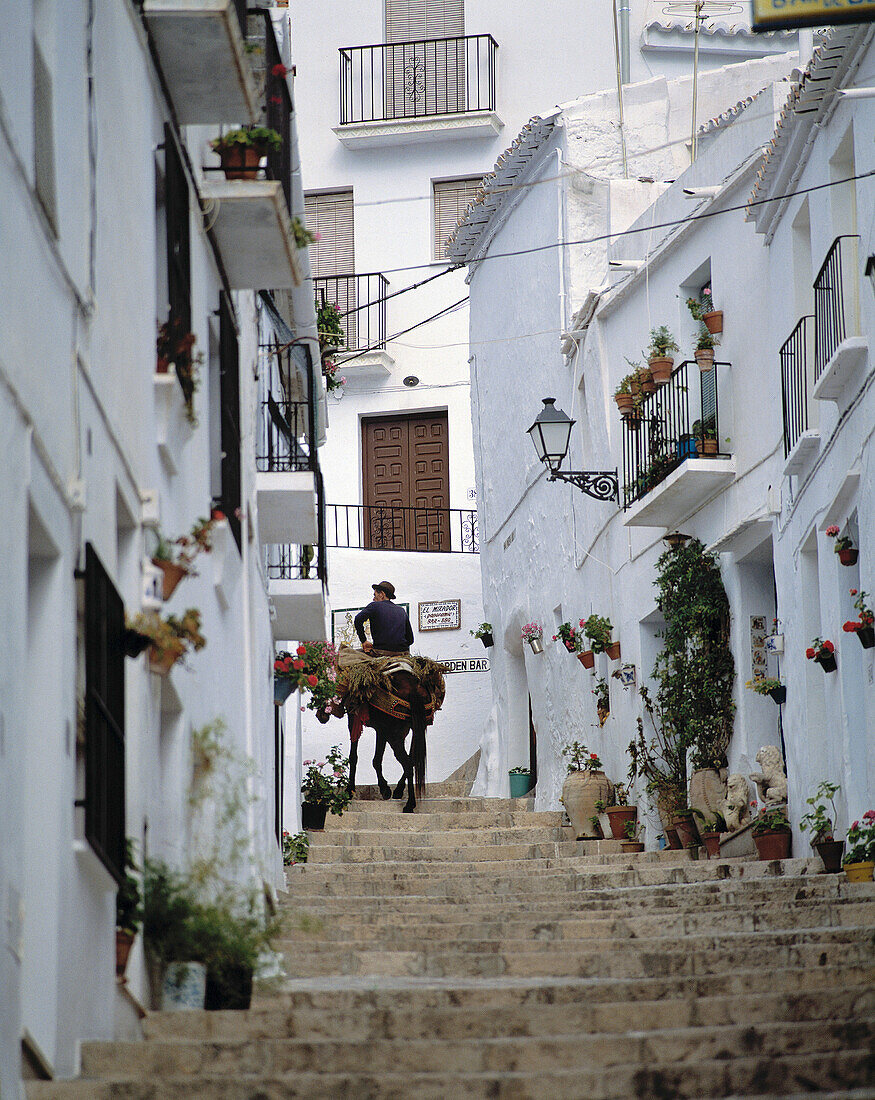 Spain, Andalusia, Costa del Sol, Frigiliana, white village