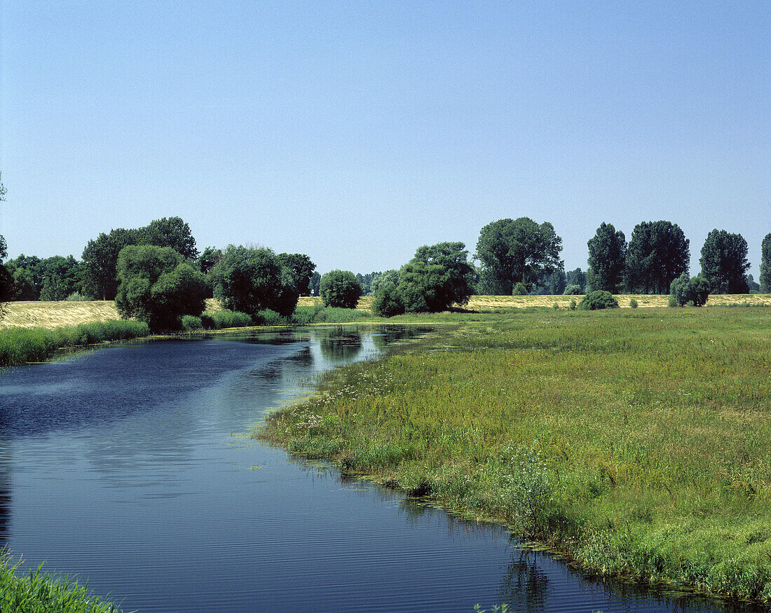 Germany: Sophiental, Alte Oder, Brandenburg, river landscape