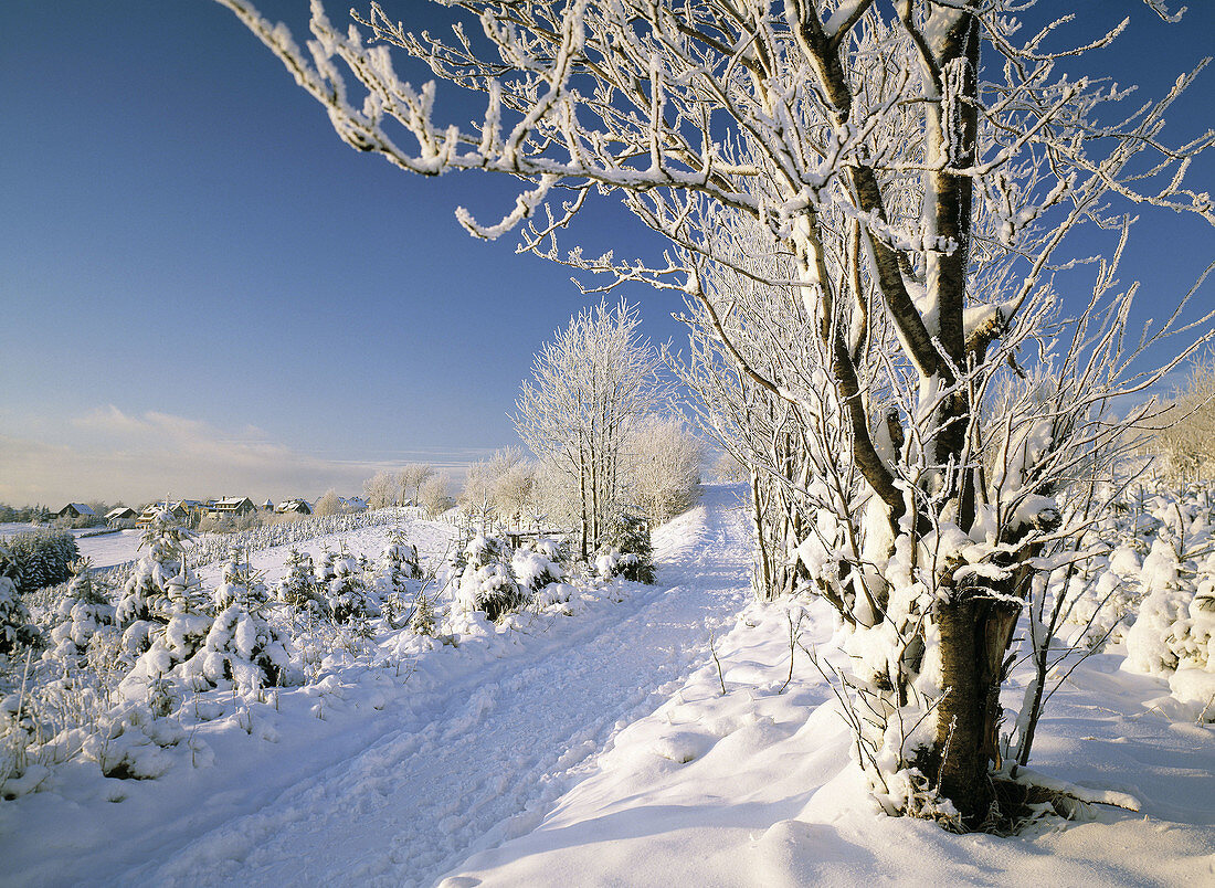 Germany, Winterberg, Sauerland, North Rhine-Westphalia, winter landscape