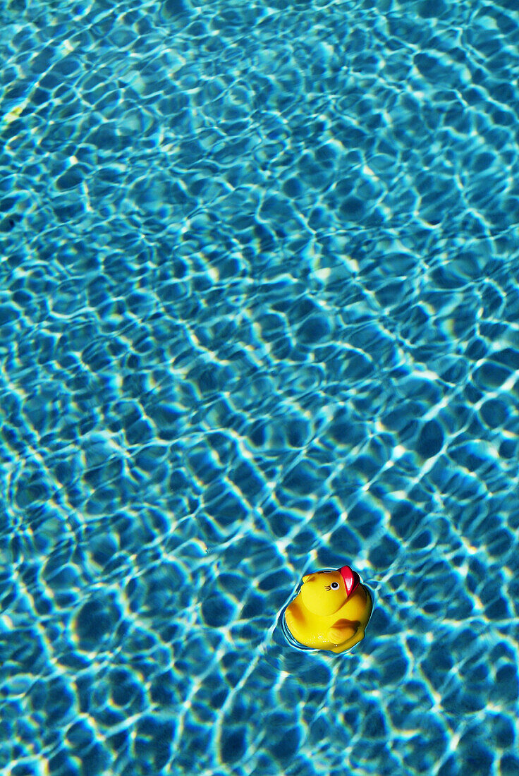 Blue, Clear, Color, Colour, Concept, Concepts, Digital composite, Duck, Ducks, Innocence, Innocent, Isolated, Isolation, Limpid, Little, Lost, Motion, Movement, Moving, One, One item, Rubber duck, Single, Still life, Swimming pool, Swimming pools, Toy, T