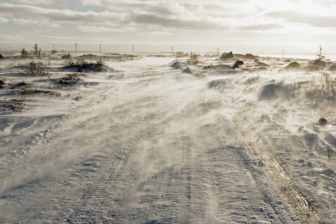 Blizzard conditions on the road outside Churchill, Manitoba, Canada.
