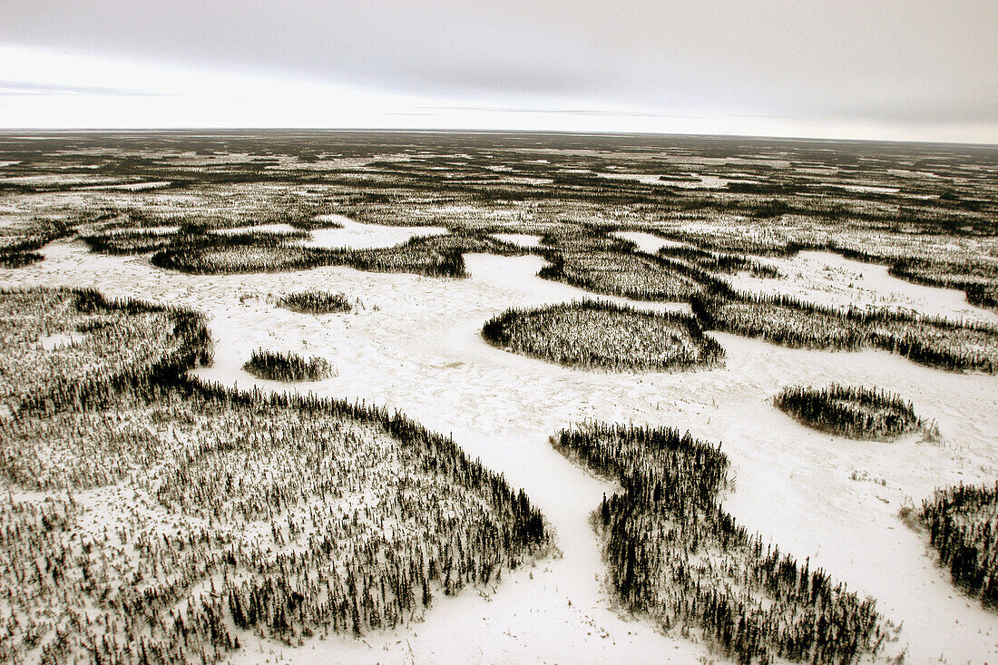 Aerial view of the open taiga surrounding Churchill, Manitoba, Canada.