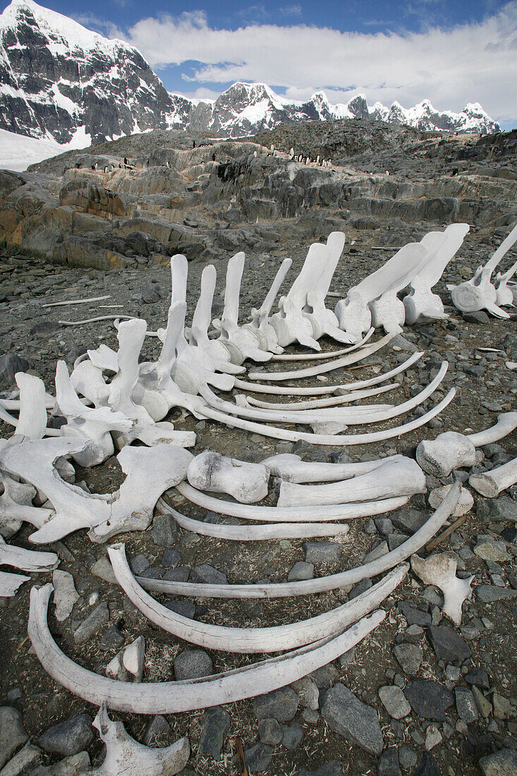 The old British Whaling Station at Port Lockroy and the whalebones across the bay at Point Jougla near Weincke Island, Antarctica.