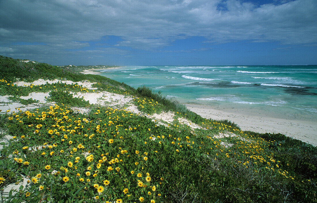 Hangover Bay with view to the sea, Nambung National Park, Western Australia, Australia