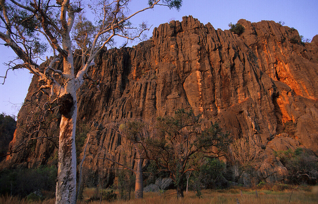 Die Felswände der Windjana Gorge, Windjana Gorge National Park, Westaustralien, Australien