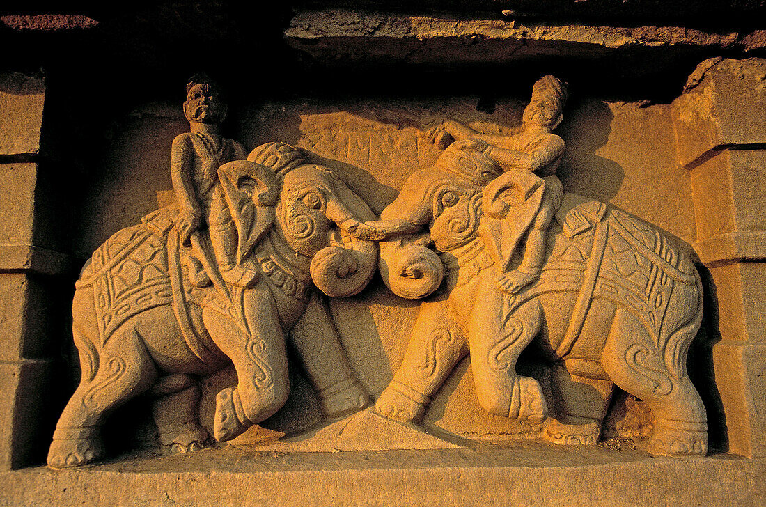 Elephant sculpture. The Erotic Temples of Khajuraho. Madhya Pradesh. India