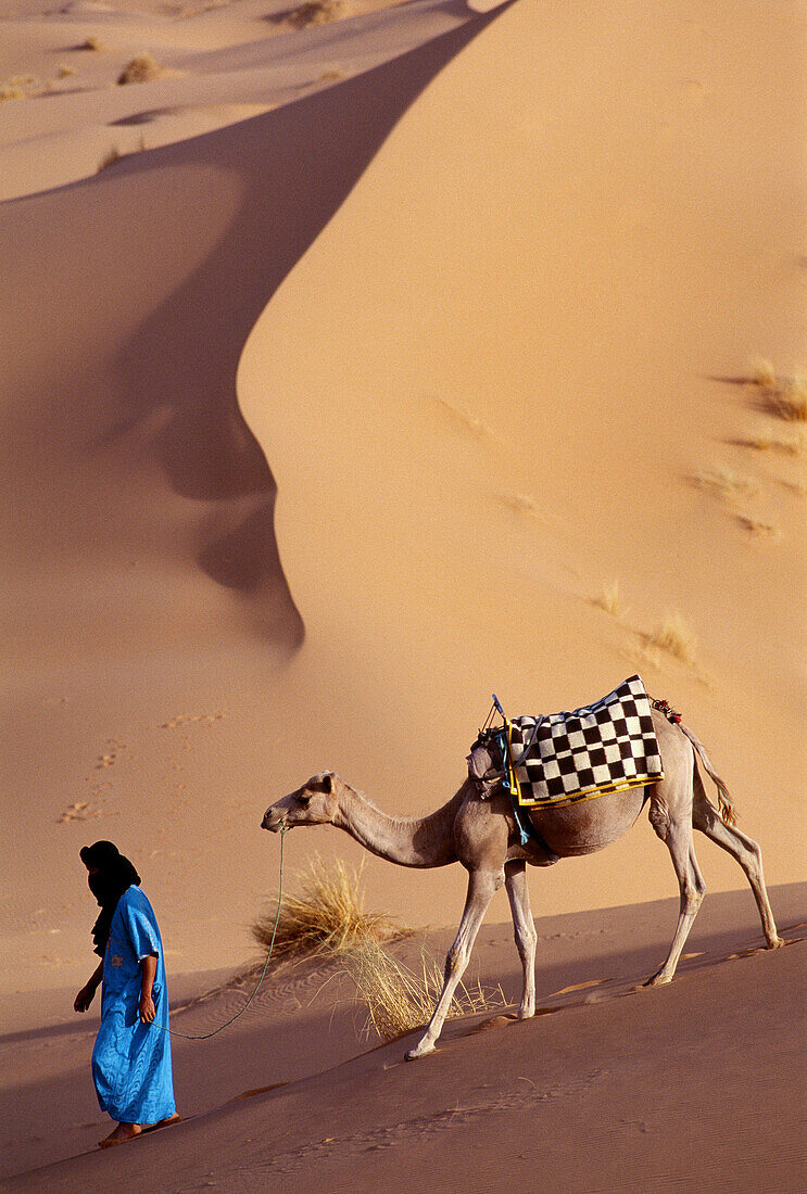 Tuareg with camel. Merzouga Dunes. Morocco