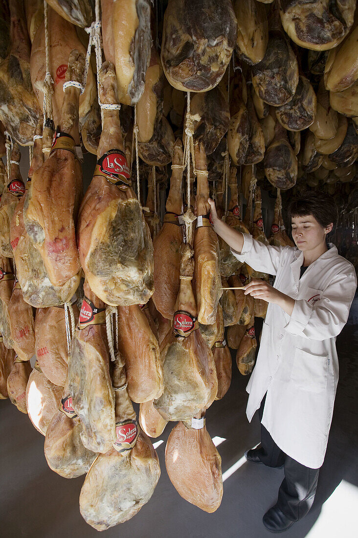 Hams of Trevélez. Alpujarras Mountains area, Granada province. Spain