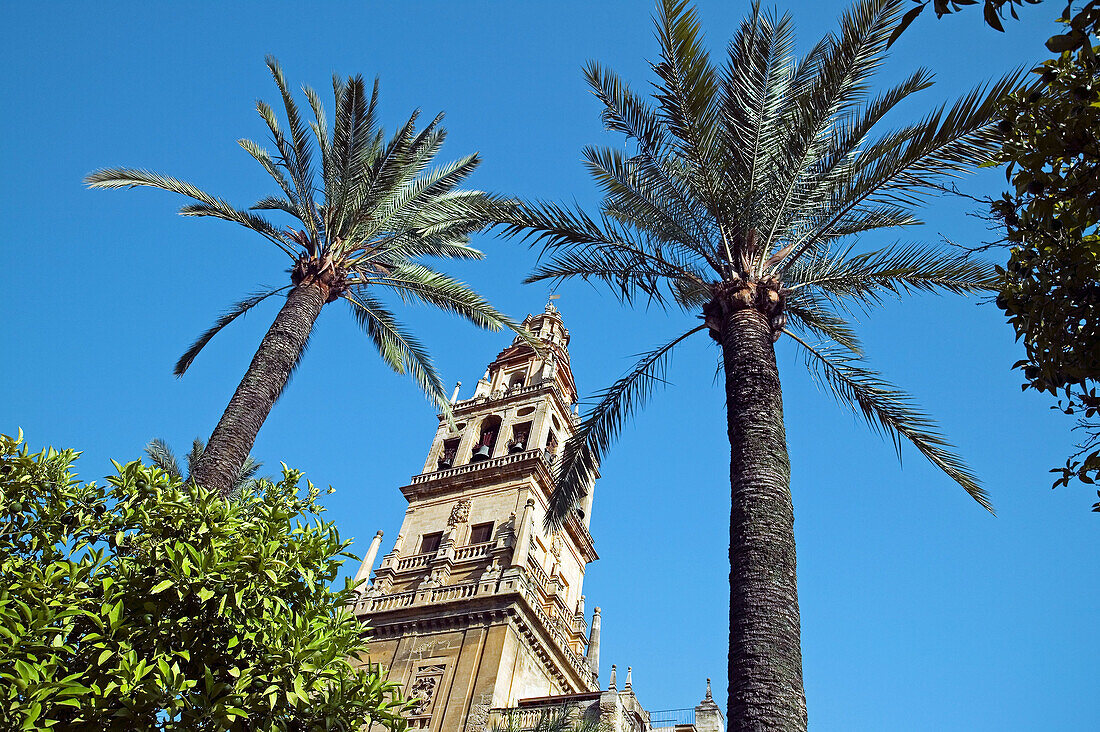 Minaret tower of the Great Mosque, Córdoba. Andalusia, Spain