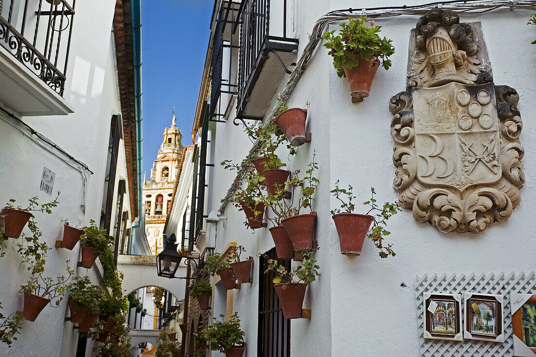 Street and Minaret tower of the Great Mosque, Córdoba. Andalusia, Spain