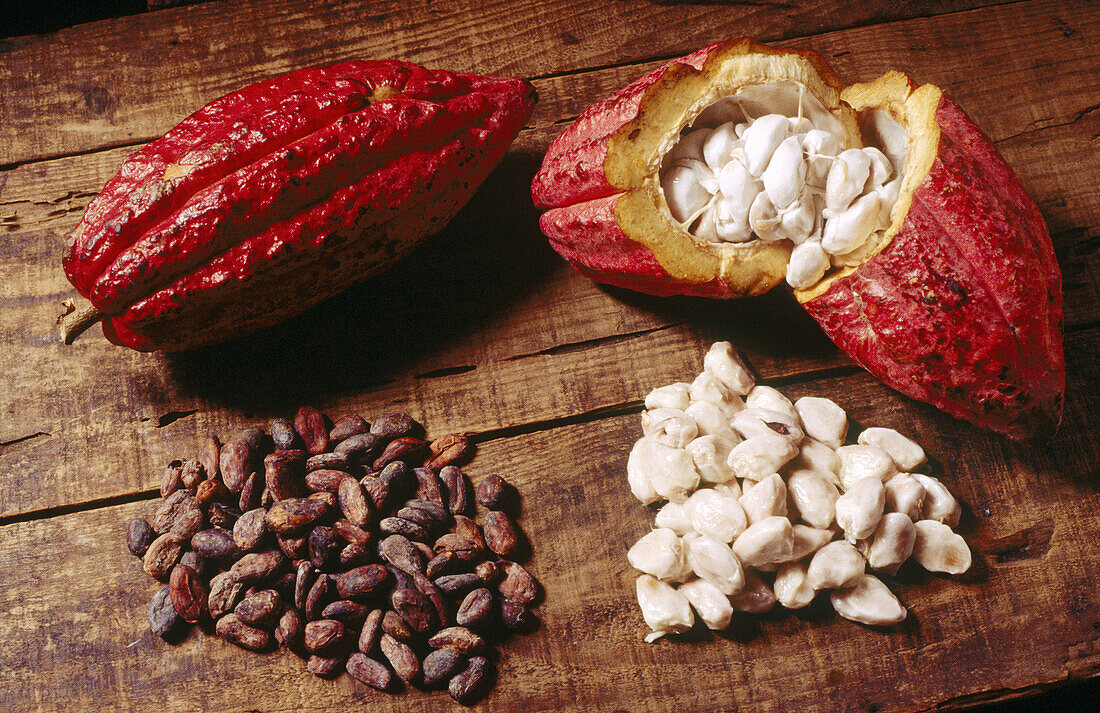 Cocoa. Grenada