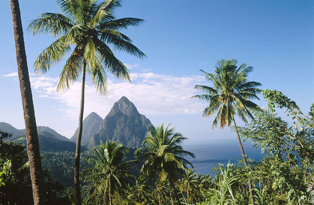 Gros Piton mountain on the left (2619 feet) and Petit Piton mountain on the right (2461 feet). Saint Lucia