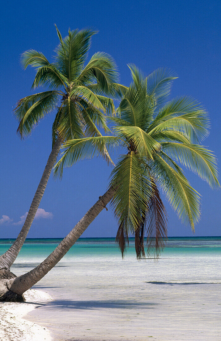 Boquerón beach. Puerto Rico