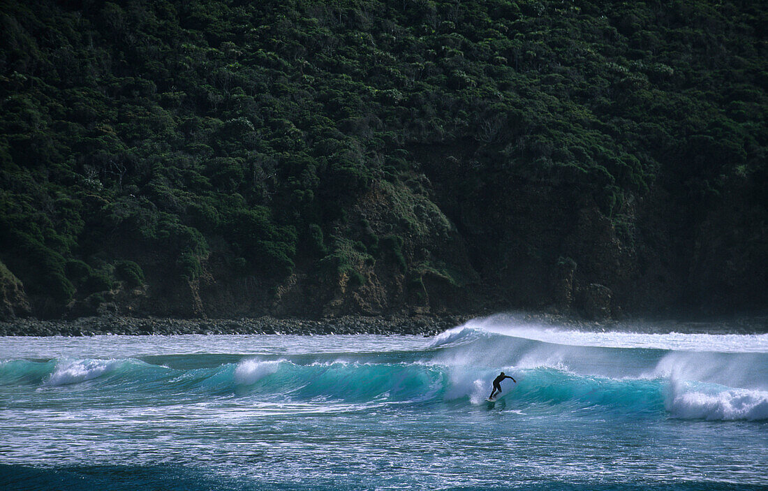 A man surfing, Neds Beach, Lord Howe Island, Australia