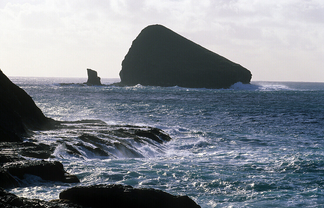 Blick auf Mutton Bird Island, Lord Howe Island, Australien