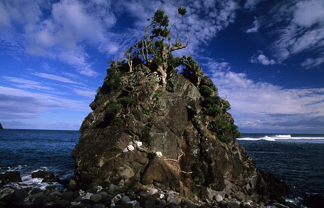 Little Island, Lord Howe Island, Australien