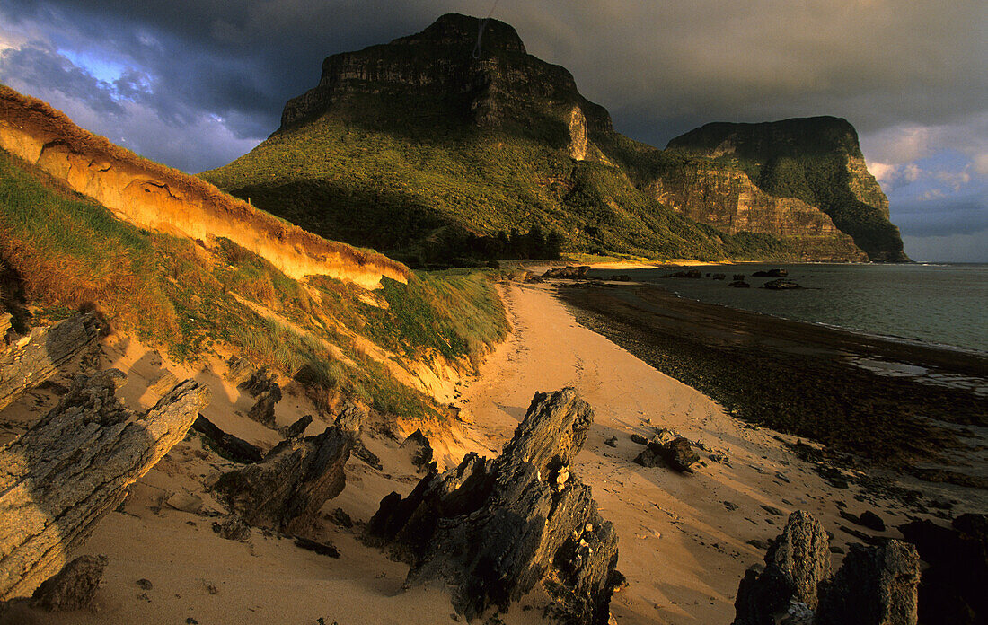 Strand im Abendlicht, Salmon Beach, Lord Howe Island, Australien