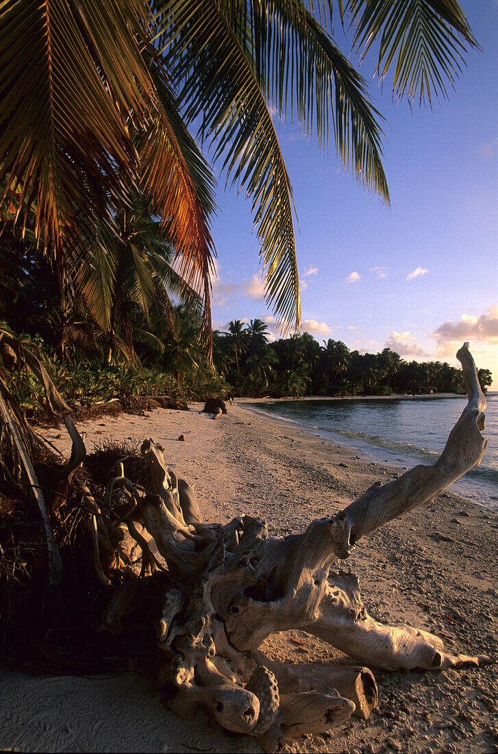 Der einsame Trannies Beach auf West Island, Australien