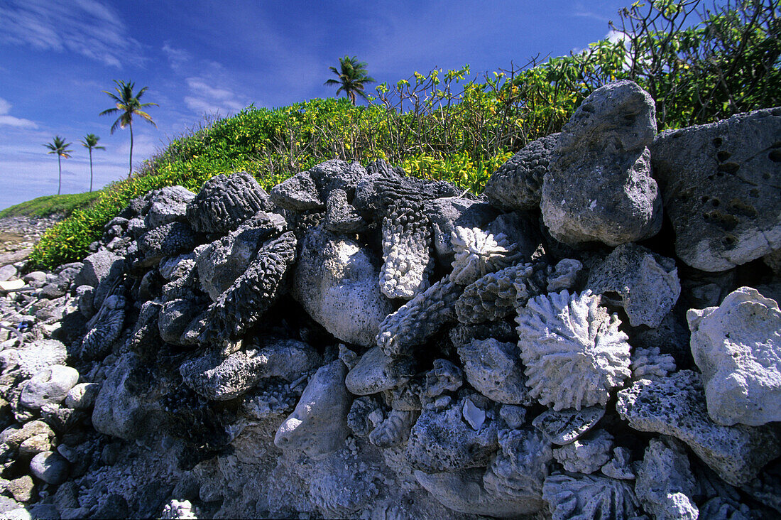 Coral rubble on Pulu Cheplok on the eastern rim of the main atoll, Australian