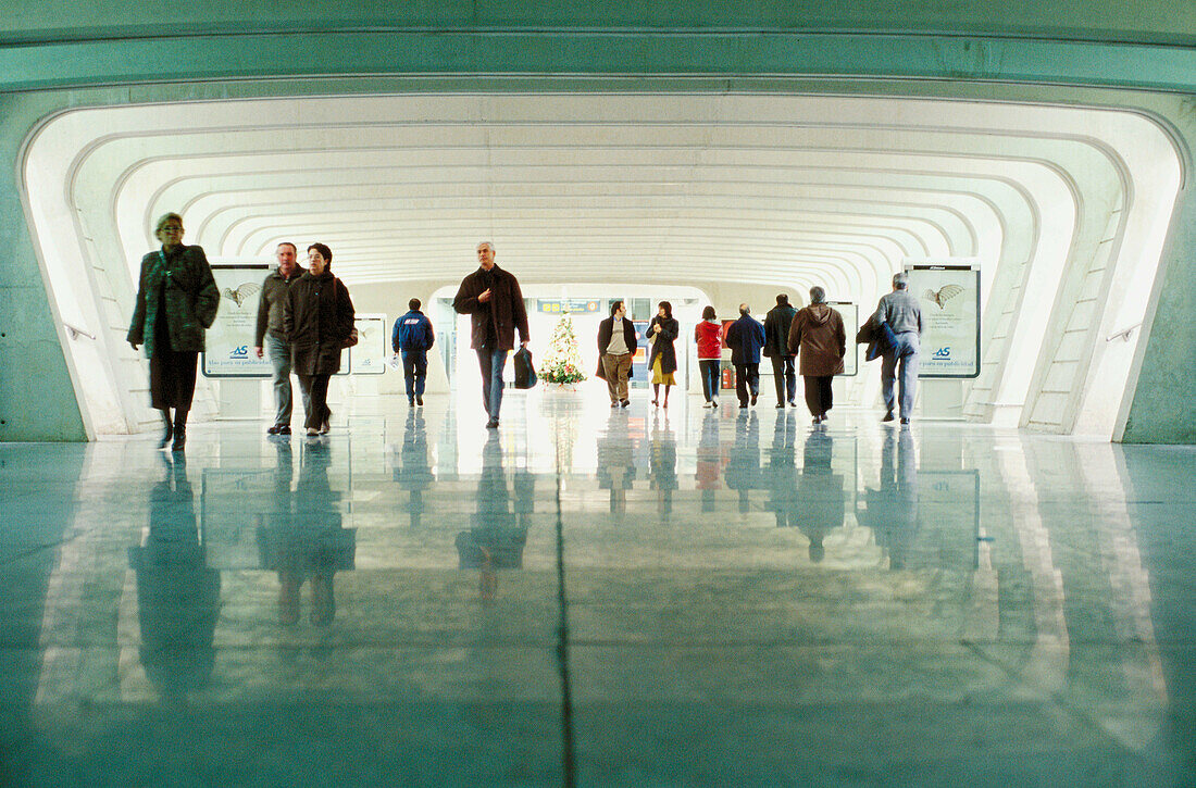 Zugang zum Parkplatz. Flughafen Bilbao, von Santiago Calatrava. Bilbao. Euskadi. Spanien