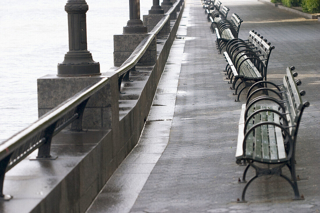  Alone, Bench, Benches, Calm, Calmness, Color, Colour, Concept, Concepts, Daytime, Empty, Exterior, Gray, Grey, Horizontal, Hudson River, Isolated, Leisure, Lined up, Lined-up, Morning, Nobody, Nyc park, Outdoor, Outdoors, Outside, Park, Park bench, Peace