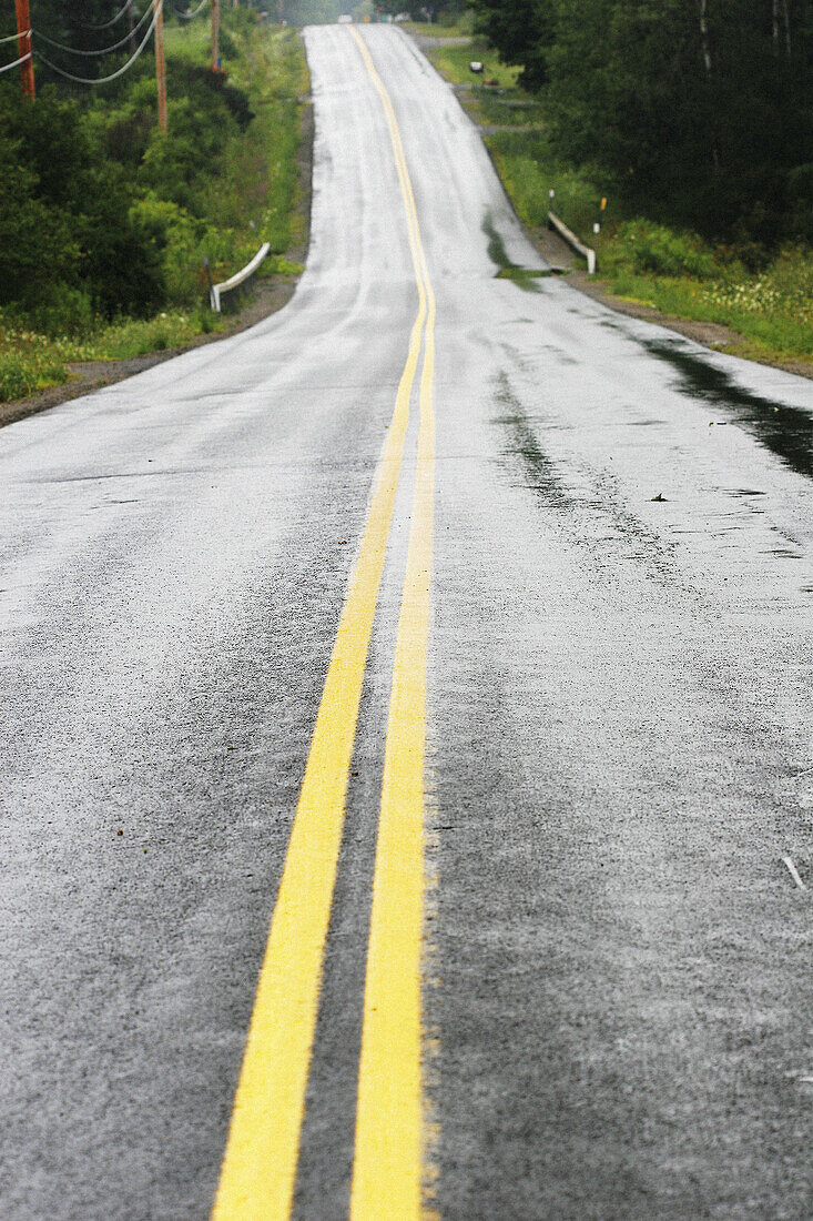 Morning wet country road.