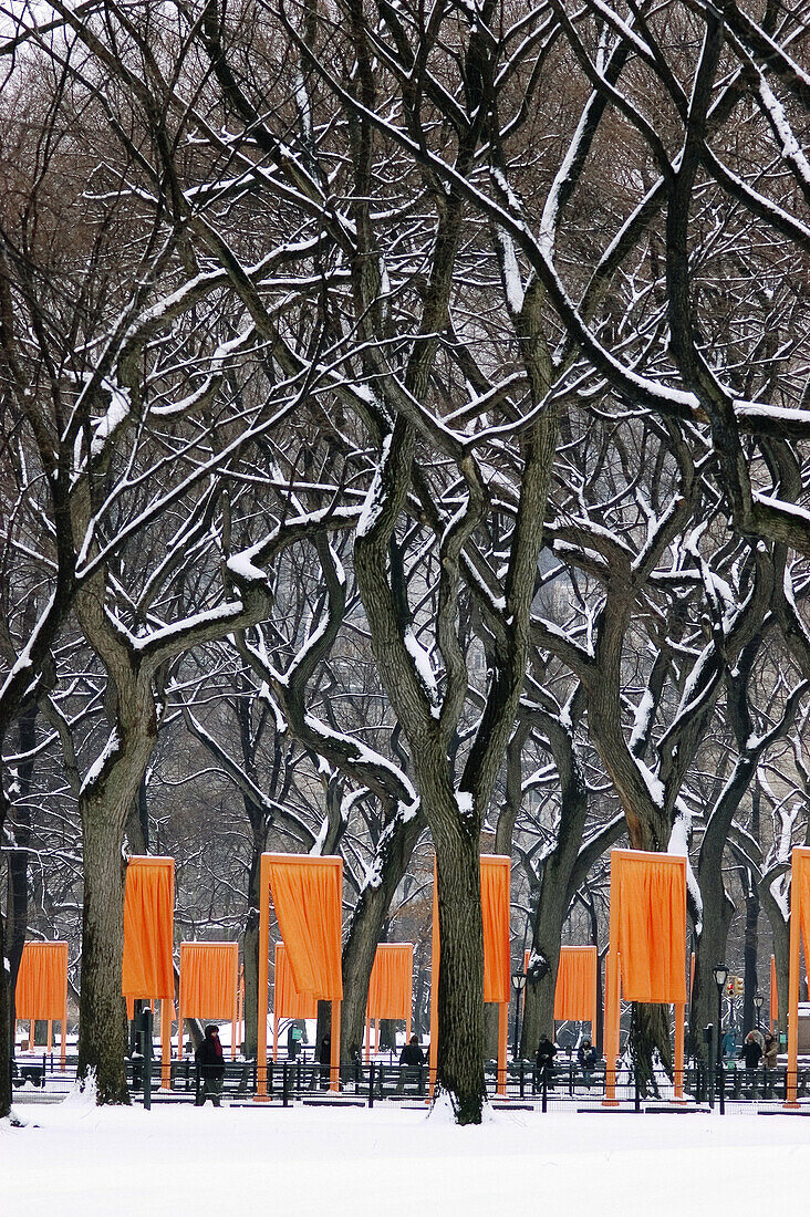 Christo s Gates Art Installation Project, Central Park, New York City, 2005