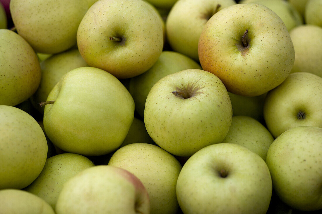 Green apples. Harvest series.