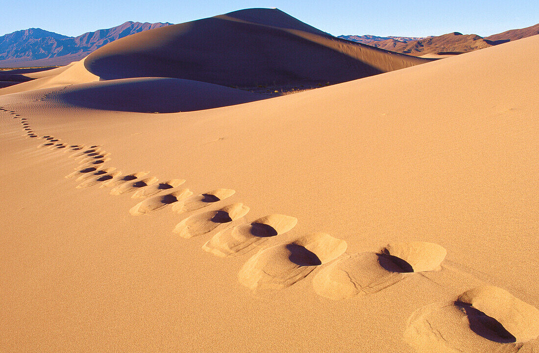 Footprints in Sand dunes. Nevada. USA