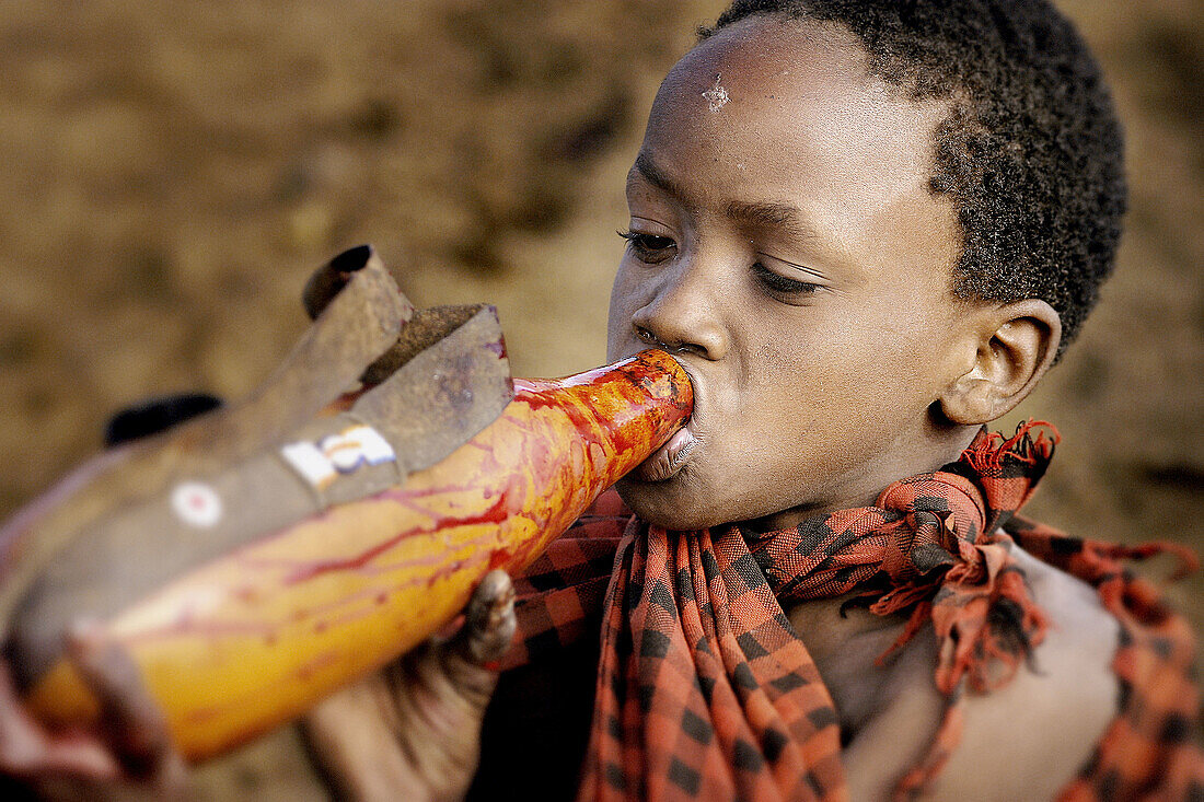 Maasai ritual. Drinking blood. Tanzania