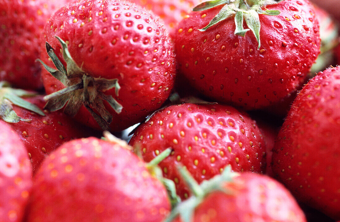 Hybrid strawberry (Fragaria x ananassa)