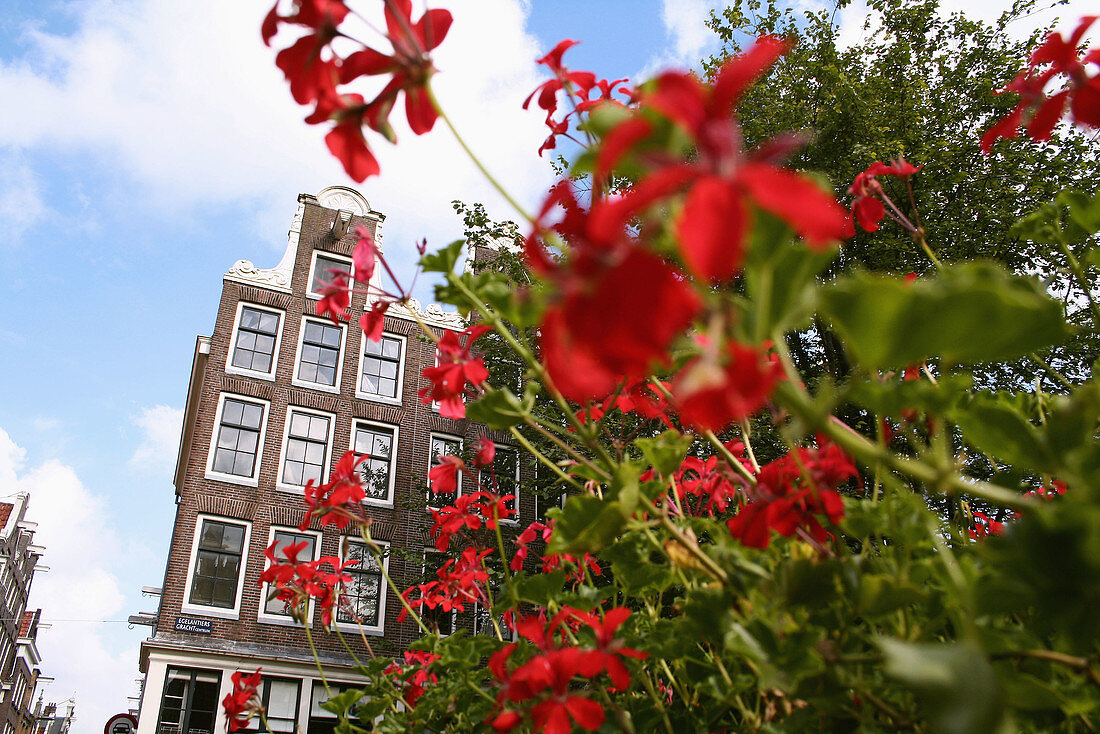 Front side of traditional dutch houses in Amsterdam. Holland.