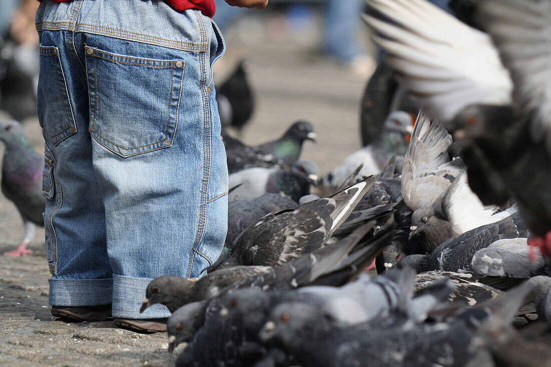 Tourist feeding doves on Dam Square. Amsterdam. Netherlands.