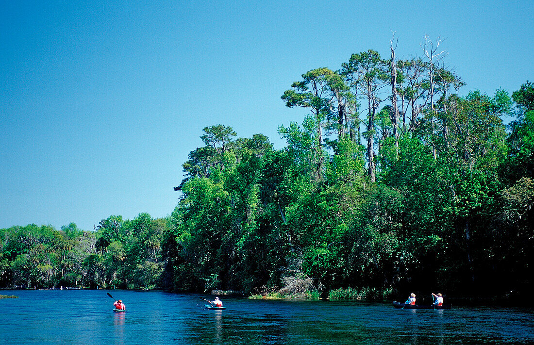 Scuba diver in Rainbow River,  USA, Florida