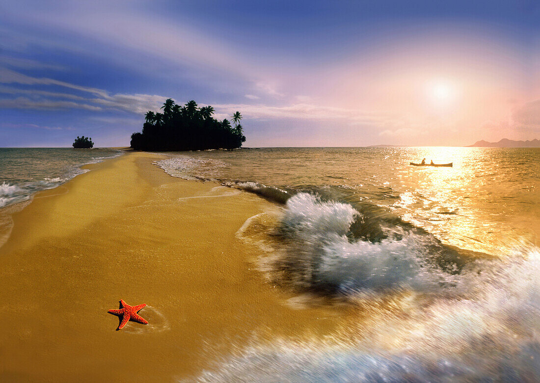 Starfish on the beach at sunset, Palawan Archipelago, Palawan Island, Visayas Islands, Philippines, Asia