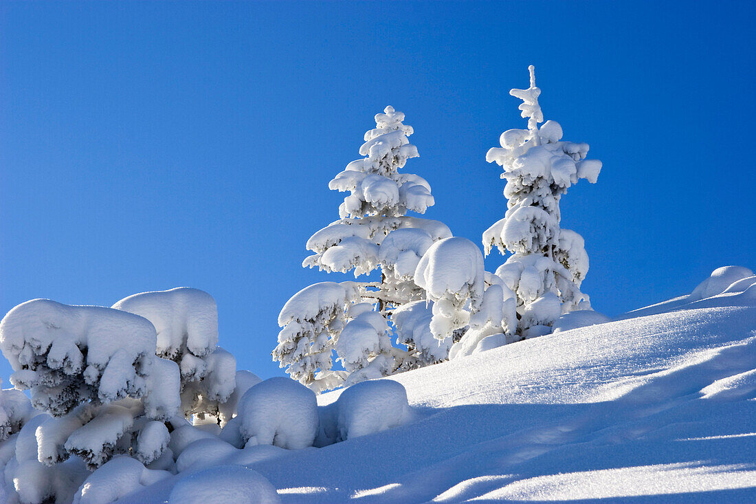 Winterlandschaft in den Bayerischen Alpen, Oberbayern, Deutschland