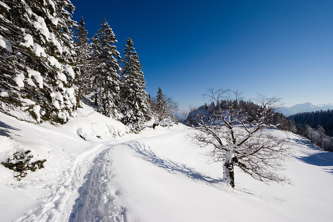 Winterlandschaft in den Bayrischen Alpen, Oberbayern, Deutschland