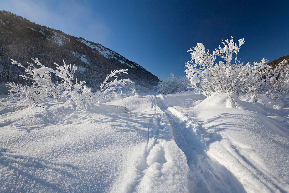Skispuren im Schnee, Oberbayern, Deutschland