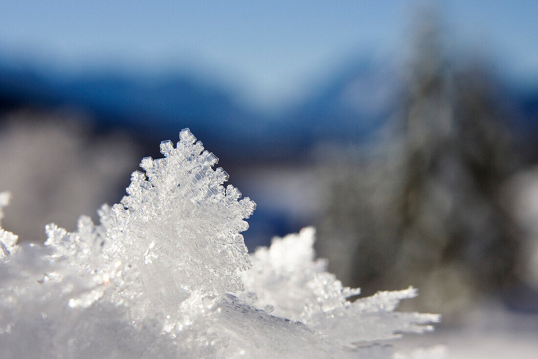 Schneekristalle, Bayern, Deutschland