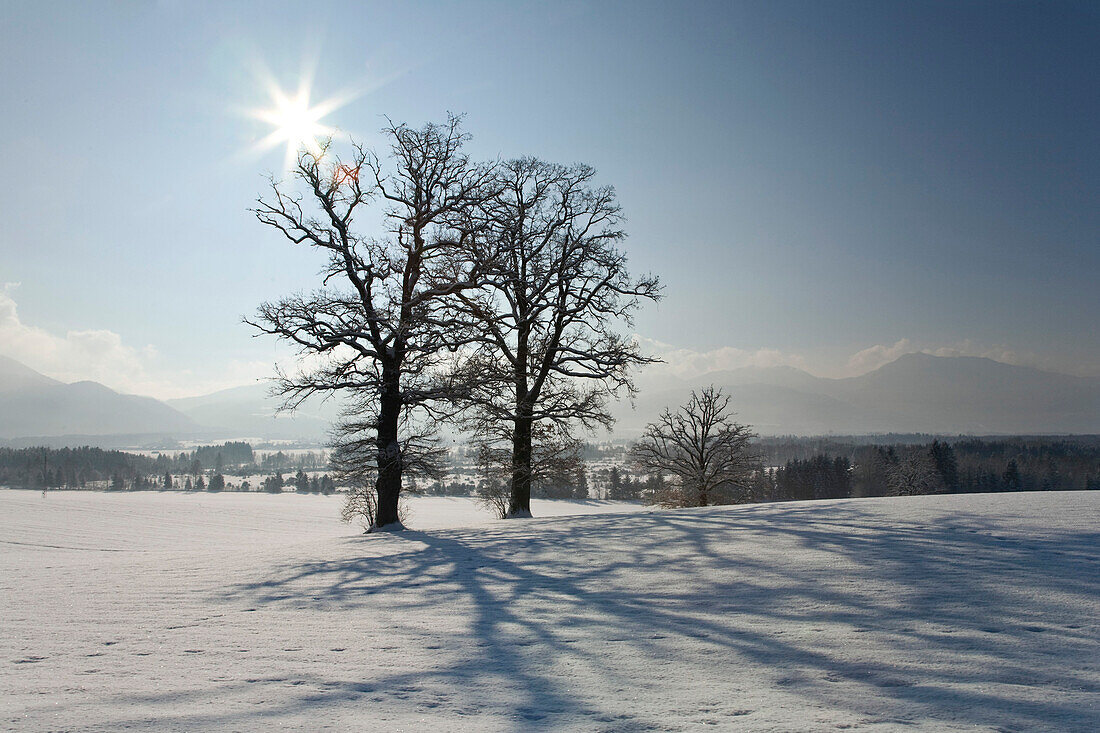 Winterlandschaft, Oberbayern, Deutschland