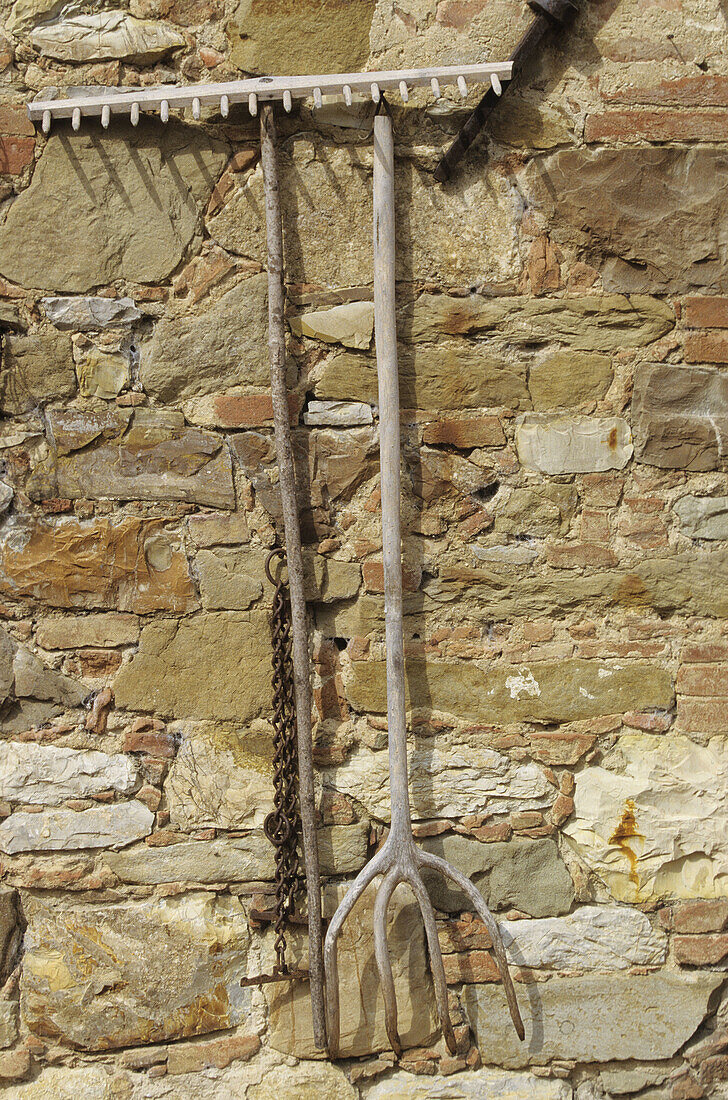 Old rakes. Tuscany, Italy