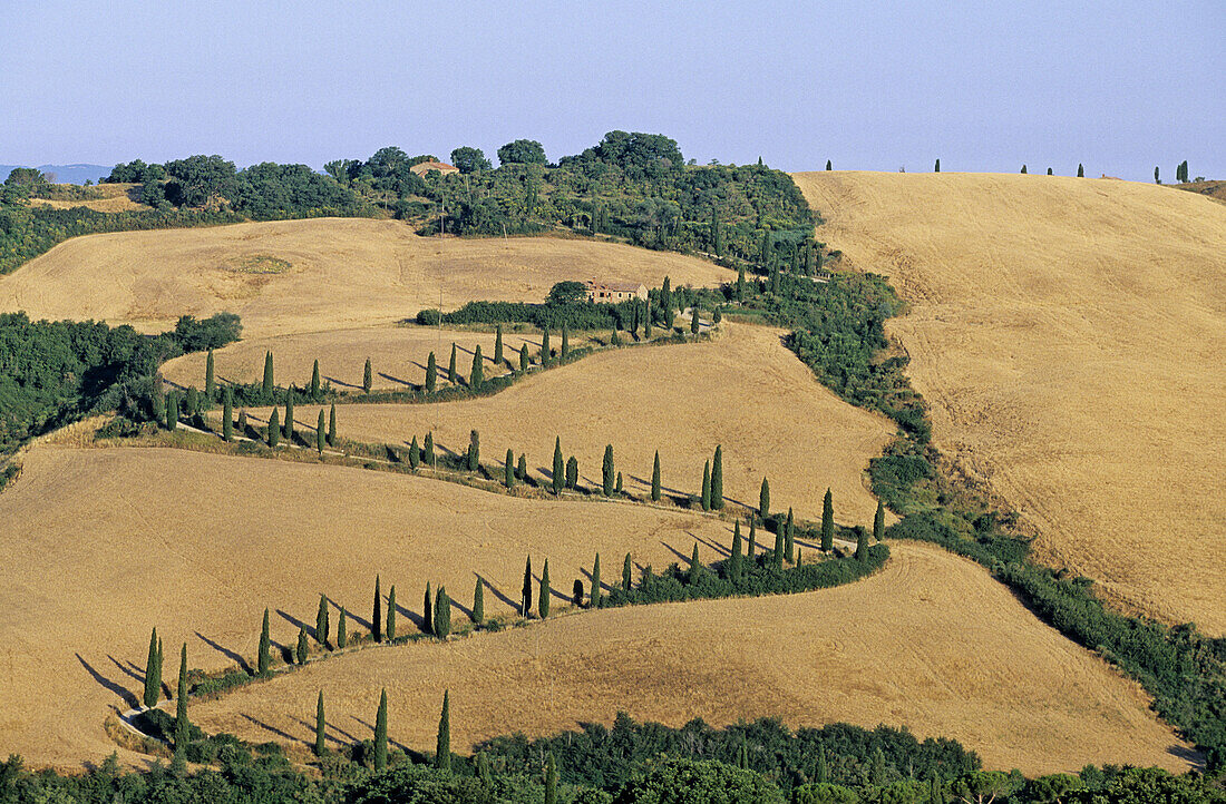 Tuscan landscape. Italy