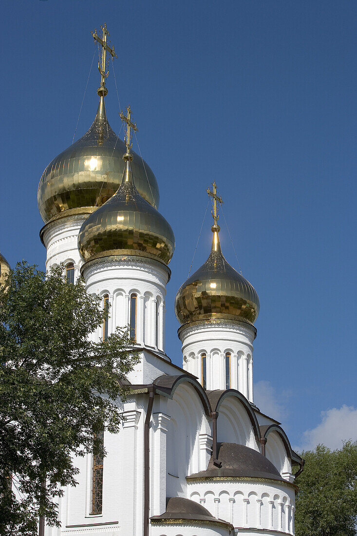 Monastery of St. Nicholas: cathedral of St. Nicholas (late 17th century), Pereyaslavl-Zalessky. Golden Ring, Russia